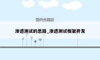 渗透测试的思路_渗透测试框架开发