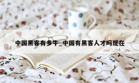 中国黑客有多牛_中国有黑客人才吗现在